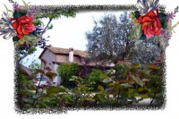 /album/casale-delle-rose-/fronte-giardino-jpg/