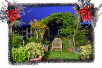 /album/casale-delle-rose-/arco-jpg/