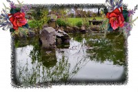 /album/il-giardino-botanico/lago-2-jpg/