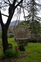 /album/galleria-foto-homepage/dondolo-jpg/